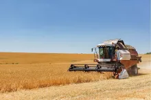 Kombajn zbożowy firmy Rostselmash Vector 410 podczas żniw.