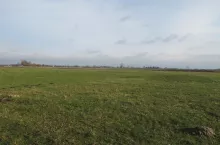 łąki i pastwiska