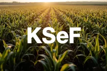 KSeF obowiązkowy od 2026 r. Co muszą wiedzieć rolnicy i agrobiznes?