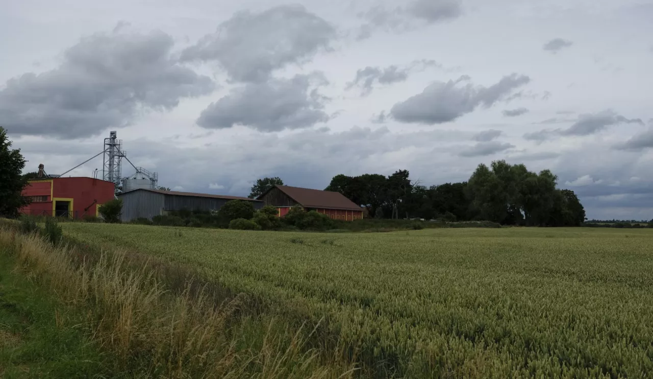 Pomimo że wiele naszych gospodarstw w ostatnich latach się zmodernizowało, musimy twardo ubiegać się o pieniądze na rozwój i wprowadzanie nowych technologii w ramach II filaru WPR