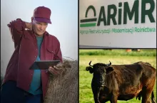 IRZplus odetnie część rolników. Zgłoszenia zwierząt nie przejdą
