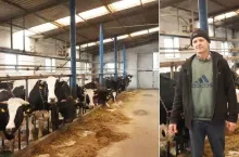 30 lat przy krowach i wciąż mają plany. ”Chcemy spuścić je z uwięzi”