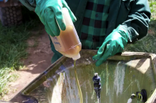 środki ochrony roślin