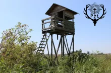 Szacuje, że w Polsce jest ok. 133 tys. myśliwych 