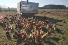 Obowiązkowa ankieta GUS dla rolników. O co tym razem pytają ankieterzy?