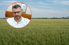 pole z pszenicą, wizerunek Arkadiusz Zalewski z IERiGŻ