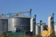 Polska sprzedaje zboże za grosze, a kupuje mąkę za miliardy. Minister ma plan ratunkowy?