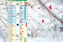 Kalendarz biodynamiczny na styczeń. Sprawdź, co robić, żeby rośliny ruszyły idealnie