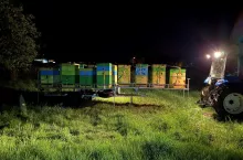 Pasieka wędrowna w trakcie zmiany lokalizacji