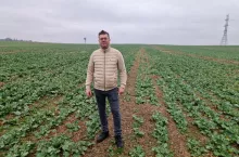 Na sezon 2025/2026 rzepak został wysiany na 53 ha