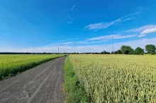 Trybunał Konstytucyjny zrewolucjonizował spory o słupy i linie na prywatnych gruntach.