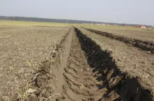 Koleiny na polu zbliżenie 