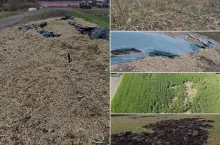 Szkody wyrządzone przez dziki w gospodarstwach rolników z gm. Łobżenica