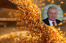 W ocenie ekspertów z IERiGŻ, gdyby nie doszło do zawarcia umowy UE-Mercosur, utrzyma się wysoki import soi i kukurydzy z krajów Ameryki Południowej