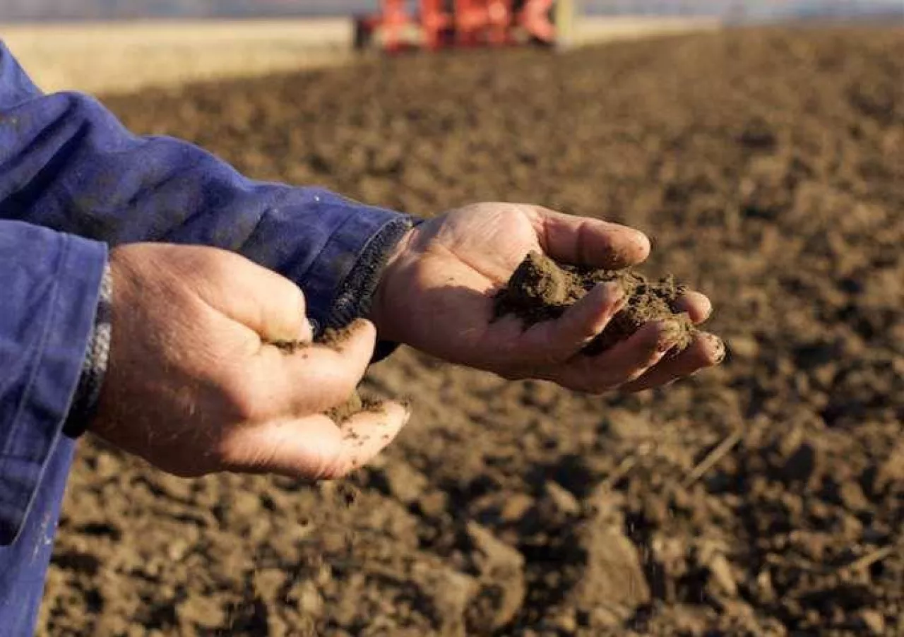 Zwolnienia z VAT mogą być stosowane jedynie w granicach przewidzianych przez dyrektywę VAT lub na podstawie derogacji.