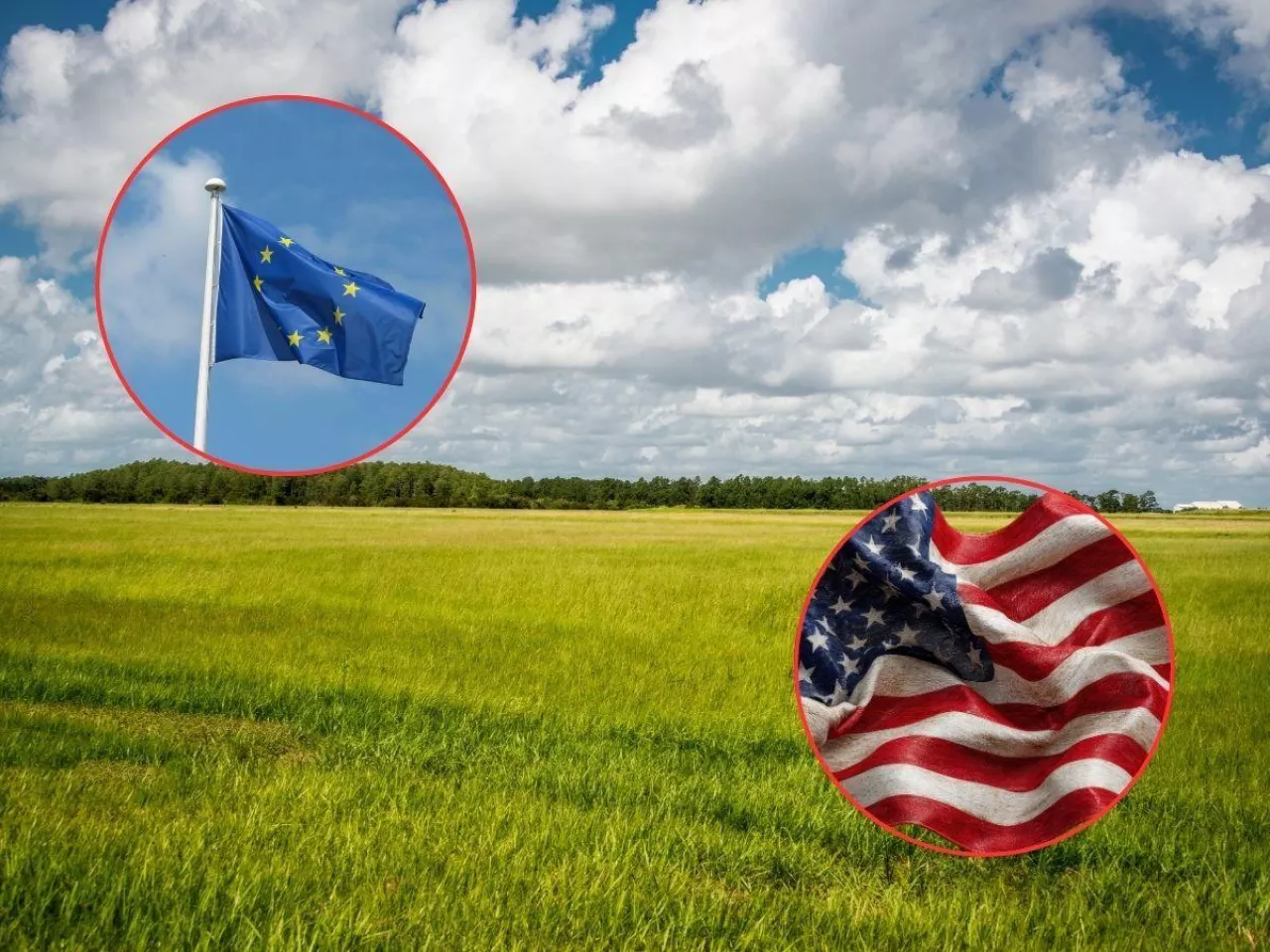 USA zmieniają zasady gry. Co to oznacza dla polskiego rolnictwa?