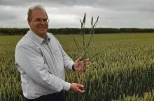 Tim Lamyman ustanowił oficjalnie Rekordy Guinnessa plonowania pszenicy, jęczmienia i rzepaku. Ma także w dorobku szereg rekordów nieoficjalnych w innych uprawach