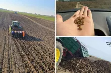 MHR nie odbiera nasion od rolników