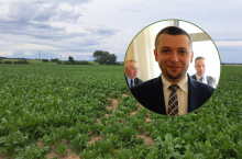 Tegoroczne plony buraków cukrowych w wielu regionach okazały się wyższe, niż przewidywano