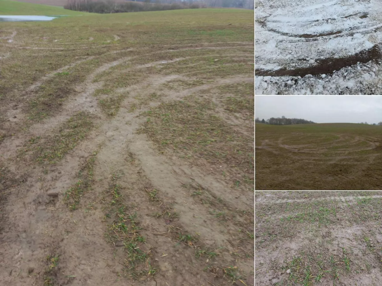 Rozjechane pola w pow. lidzbarskim 