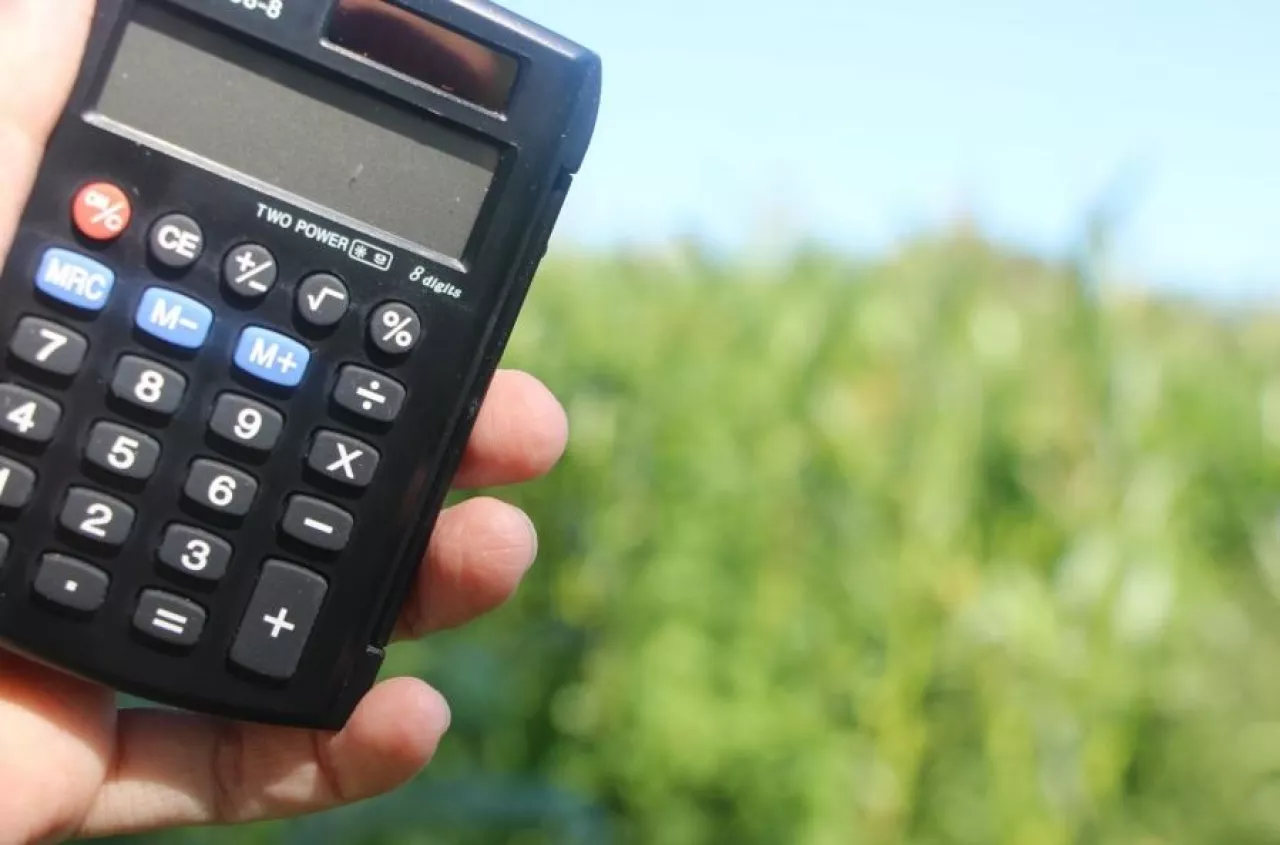 Rozwój małych gospodarstw