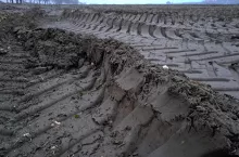 zbita gleba po burakach