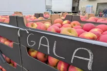 Podaż jabłek na niemieckich rynkach hurtowych według kraju pochodzenia.