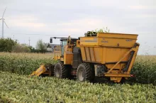 Czy nadal rolnik będący członkiem grupy producentów musi sprzedawać do grupy 70 proc. swoich produktów rolnych?