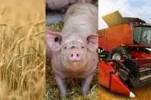 produkcja rolna 2024