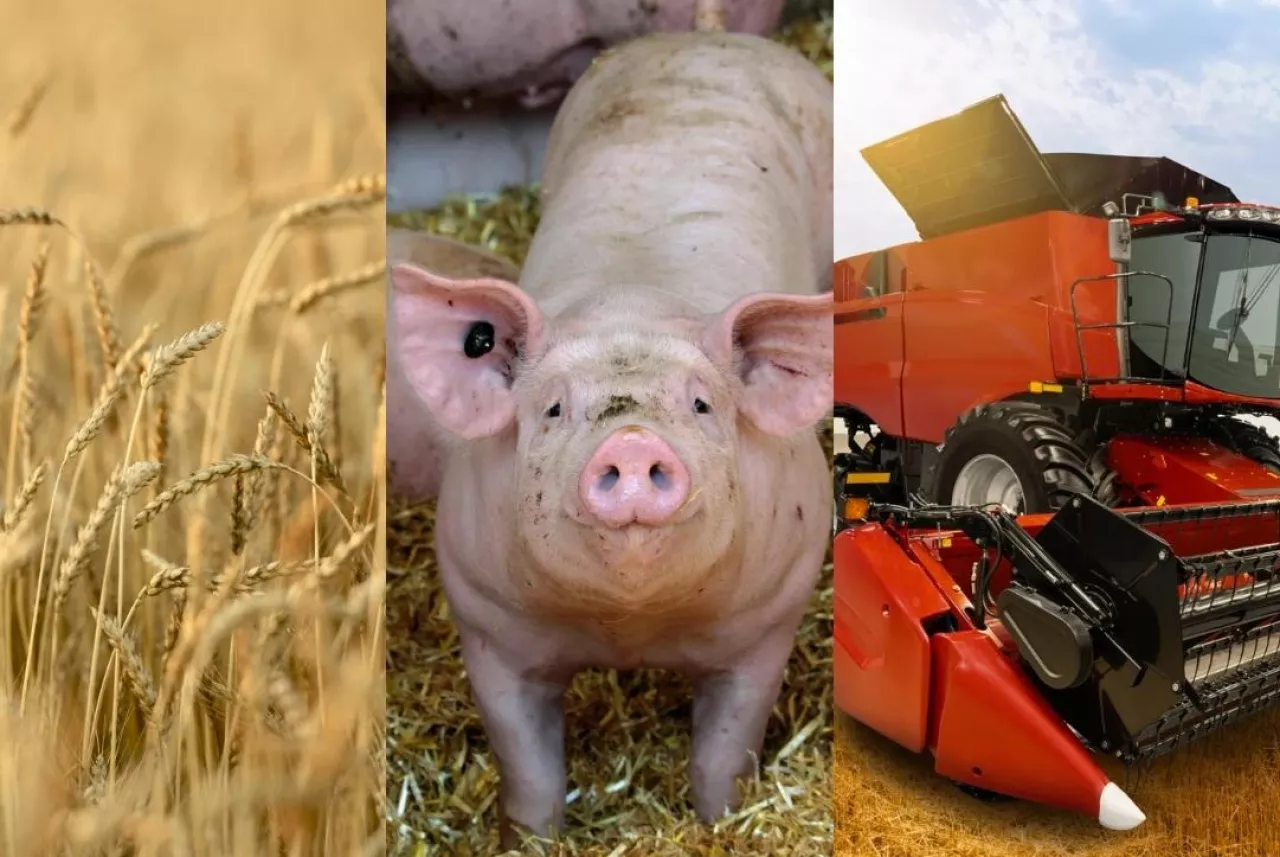 produkcja rolna 2024