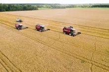 Kombajny zbierające pszenicę na rozległym polu. 