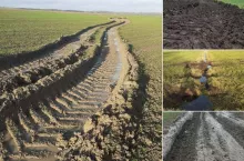 Zniszczone łąki w pow. sępoleńskim