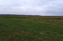 Działanie rolno-środowiskowe ”Ochrona torfowisk i obszarów podmokłych na gruntach użytkowanych rolniczo” przewiduje trzy warianty wsparcia