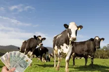 Produkcja mleka wyhamuje? Nowa prognoza KE do 2035 r.