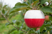 Produkty oznakowane według dotychczasowych zasad będą mogły pozostać w obrocie do wyczerpania zapasów.