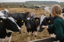 Kto naprawdę decyduje o cenach mleka w Polsce?