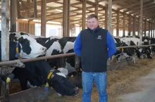 Marcin Maślanka stojący obok jedzących krów