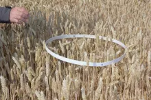 szacowanie strat, komisje klęskowe