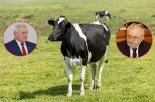 Ceny mleka spadły nawet o 50 gr. Jest wniosek o pilne dopłaty dla rolników