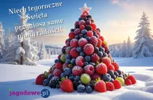 Wesołych Świąt!