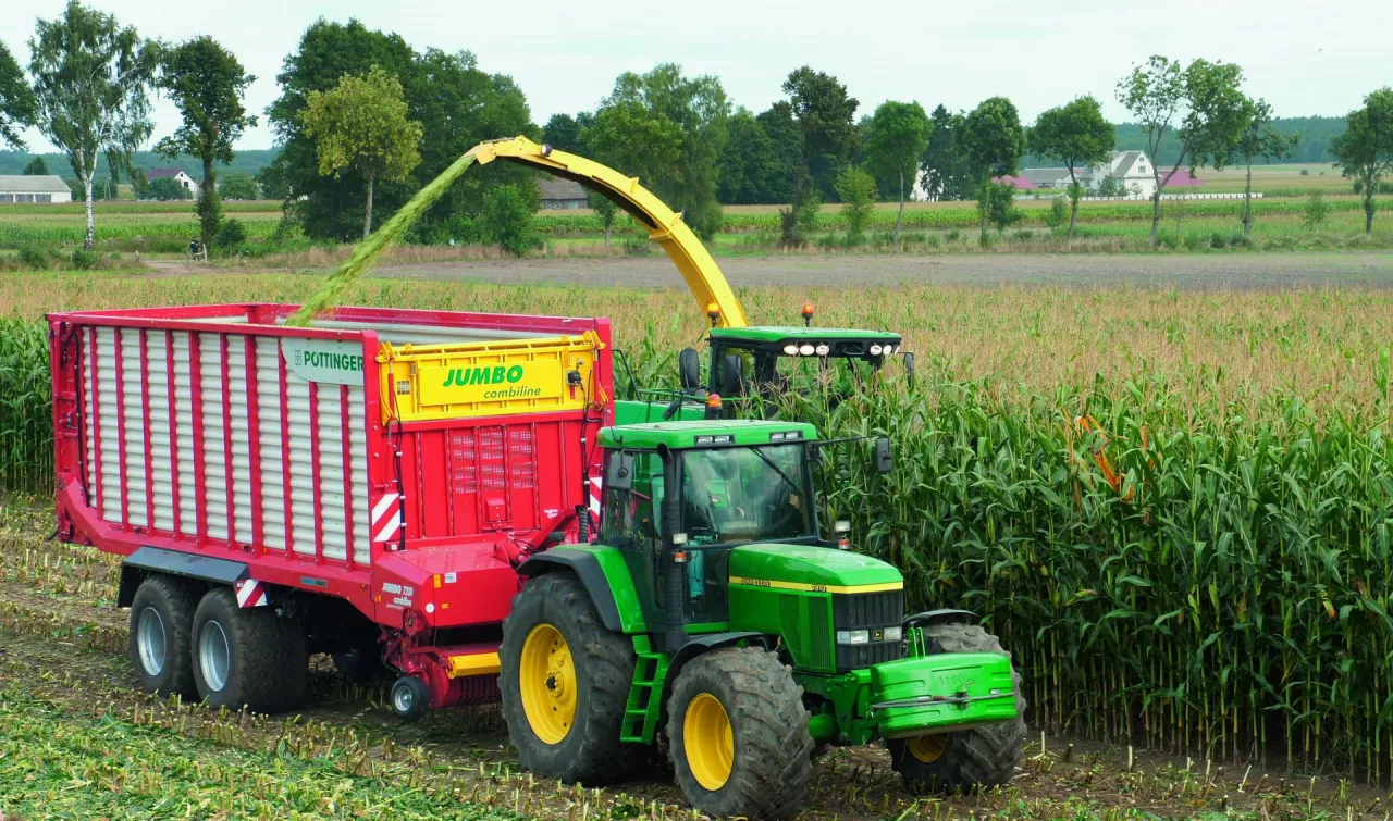 zbiory kukurydzy na polu