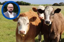 Jacek Zarzecki apeluje do ministra Sikorskiego w sprawie Mercosur