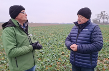 Film Czubiński Łykowski pole rzepak