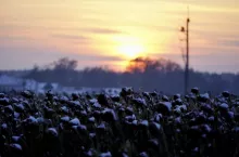 Zachód słońca zima