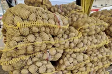 Ziemniaki na rynku hurtowym w Broniszach