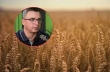 pole ze zbożem, twarz eksperta