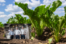 Nowy zarząd Pfeifer & Langen