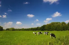 System suszy nie widzi traw i roślin pastewnych. Będą zmiany?