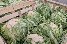 Importowane kalafiory w skrzynkach