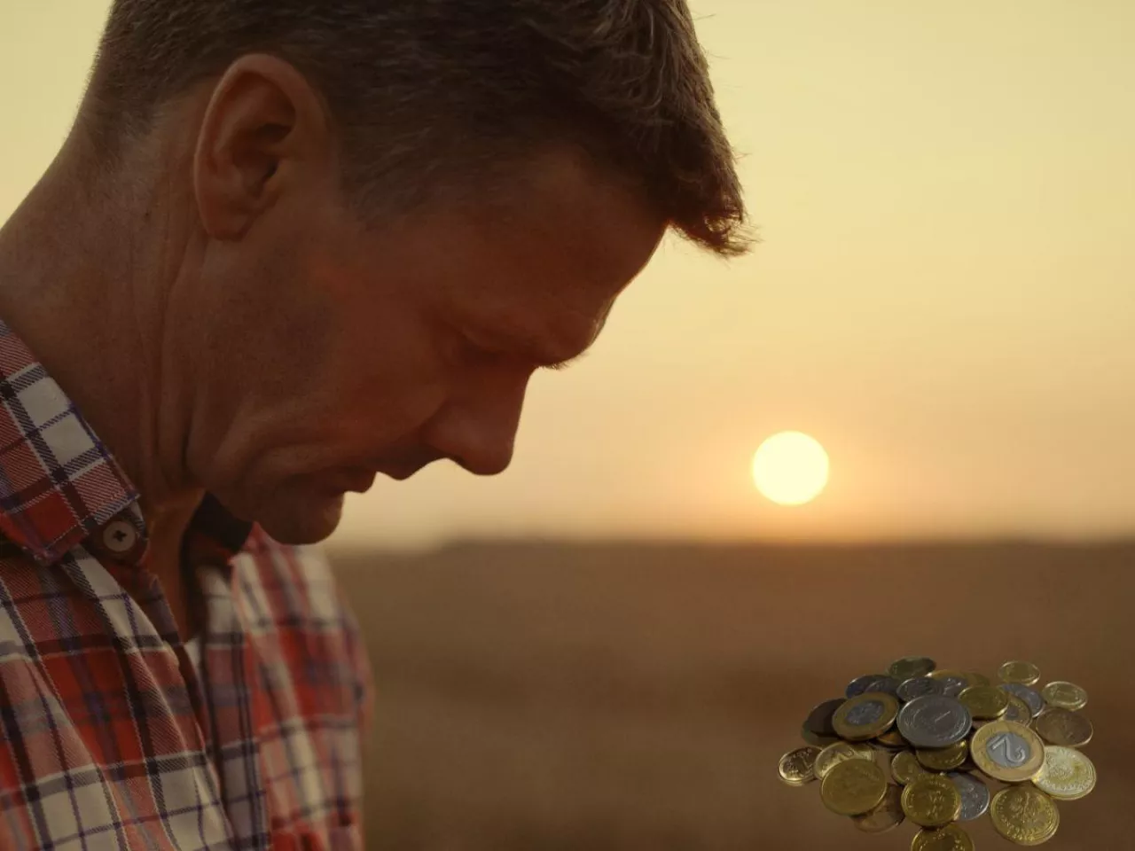 Czy z gospodarstwa da się dziś utrzymać rodzinę? Nowe dane zaskakują